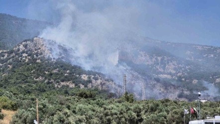 Bodrum yangını neden çıktı, söndürüldü mü? Bodrum elektrik kesintisi arıza nedeniyle tüm ili etkiledi! - Haberler