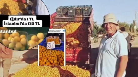 CHP'li isim "Iğdır'da kayısı 1 TL, İstanbul'da 120 TL" demişti! Piyasayı manipüle etti, yediği ceza dudak uçuklattı - Ekonomi