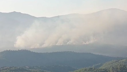 İzmir'de kabusta ikinci gün! Güneş doğdu, alevlerle mücadele bitmedi - Gündem
