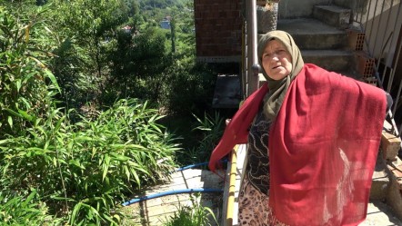 Kalem yapmak için ektiler, tüm köyün kabusu oldu! Vatandaşlar yetkililerden yardım bekliyor - Ekonomi
