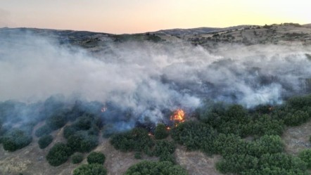 Manisa yangın devam ediyor mu, söndürüldü mü? Akhisar yangın son durum - Haberler