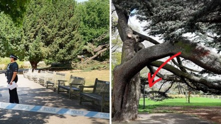 Parkta oynayan çocukların üzerine devrildi! Acı gerçek sonradan ortaya çıktı - Dünya
