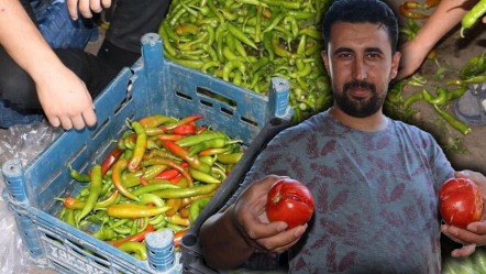 Sabah 4'te gelen ürün, öğlen çürüyor! 40 derece sıcaklık fiyatları da etkiledi - Ekonomi