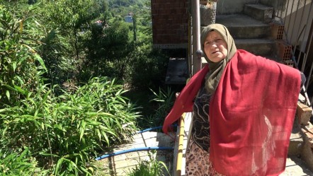 Kalem için ektiler, başlarına bela ettiler! Rizeli köylüler evinden olacak: Birkaç seneye köy kapanır - Yaşam