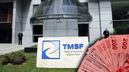 TMSF, Türkiye'nin ünlü 2 şirketini satışa çıkardı! İşte ihale detayları - Ekonomi