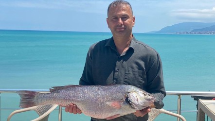 Türünün tek örneği ağa takıldı! Tezgahta kilosu 750 lira - Yaşam