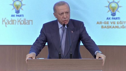 Cumhurbaşkanı Erdoğan'dan önemli açıklamalar - Gündem