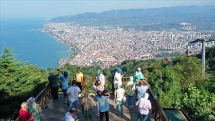 Ordu'da görüldü, zarar verene 245 bin TL ceza kesilecek! 1993 yılında tespit edilmişti - Ekonomi