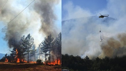 Orman yangınlarında son durum ne? Hatay, İzmir, Manisa'da yangınlar gündemde - Haberler