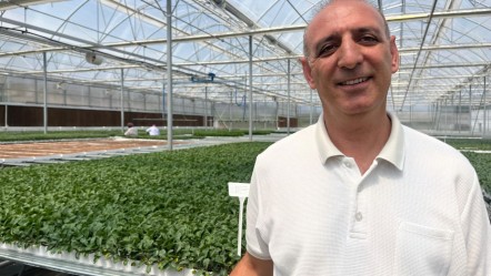 Tek seferde 10 milyon adet yetişiyor! Eskişehir'de üretiliyor, Türkiye'nin dört bir yanına gönderiliyor - Ekonomi