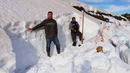Duyan inanamıyor: Kıştan sakladılar, yazın satıyorlar! Dağlardan gelen serinlik tezgâhlarda... - Yaşam