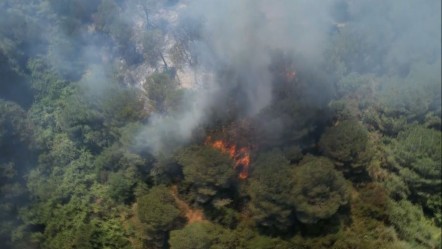 İstanbul Sultangazi'de orman yangını! 'Büyük ölçüde kontrol altına alındı' - 3. Sayfa