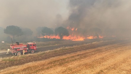 Silivri yangını neden çıktı, söndürüldü mü? İstanbul yangın son dakika durumu kamuoyunun gündeminde! - Haberler