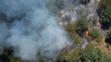 Sultangazi Kent Ormanı’nda yangın söndürüldü mü? Sultangazi yangınında son durum araştırılıyor - Haberler