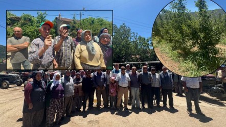 Üretici mağdur, tek ümitleri de sona eriyor! "Başka geçim kaynağımız yok" - Ekonomi