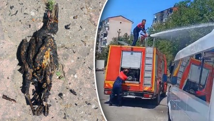 Yangının sebebi şaşırttı! Yüksek gerilim hattına kapıldı, tarlayı alevler sardı - Gündem