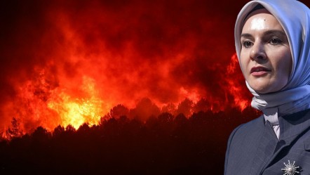 Bakan Göktaş duyurdu: Yangın bölgelerine 12.2 milyon TL acil yardım! - Gündem