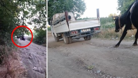 Bursa'da vicdanları sızlatan olay! Metrelerce sürükledi, sopayla dövdü: O anlar kamerada - 3. Sayfa