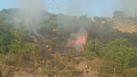 İstanbul'un göbeğinde korkutan yangını! 5. Levent'te otluk alanda alevler yükseldi - 3. Sayfa