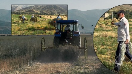 Kızgın güneşte günlük 3 bin ot bağı! O bölgede kış hazırlığı başladı - Yaşam
