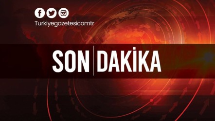 Orman yangınına sebep olana af yok! Bakan Yerlikaya duyurdu: 44 kişi gözaltında 10'u tutuklandı - Gündem