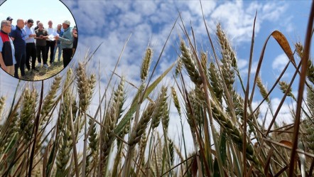 Trakya'da yerli ve milli hasat! Tarımsal üretimde büyük adım - Ekonomi