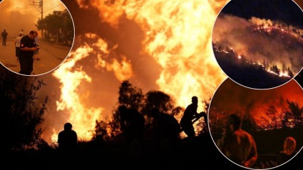 10 bin kişiye istihdam sağlıyor! Yangınlarda zarar görmesin diye sabaha kadar mücadele ettiler - Gündem