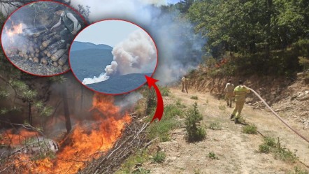 Bursa'daki orman yangınının sebebi pes dedirtti! Tutuklama ve çok sayıda gözaltı var - Gündem