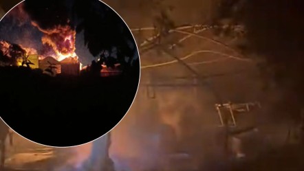 Tarım işletmesinde korkutan yangın! Yalova'da alevler bir anda yükseldi - Yaşam