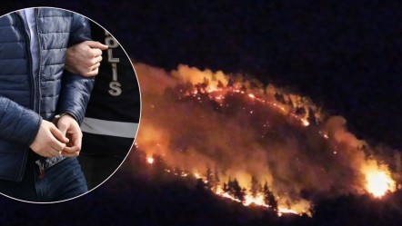 Uşak'ta 50 hektarlık alan kül olmuştu! Yangınlarla ilgili 2 kişi tutuklandı - Gündem