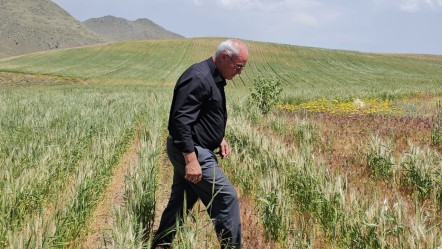15 gün içinde yok oldular... Çiftçi bile ne olduğunu anlamadı! "Boş tarlayla karşılaştık" - Gündem