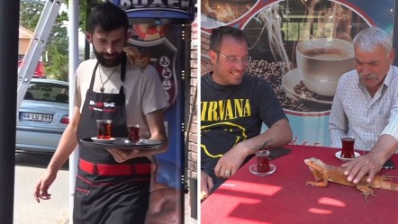 Beşiktaşlı iguana Ökkeş, Yozgat’ta fenomen oldu! - Yaşam