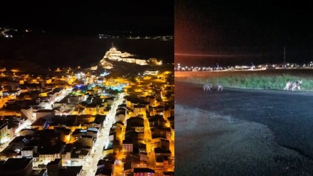 Gece yarısı şehir turu! Anne ayı ve yavruları görenler neye uğradığını şaşırdı - Gündem