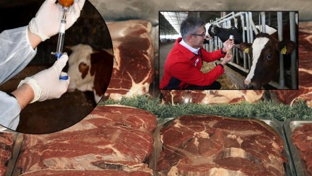 Kırmızı et piyasası etkilendi mi? Türkiye'de şap hastalığı seferberliği - Ekonomi