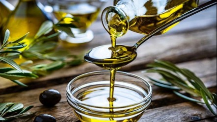 Zeytinyağında üretim rekoru! Fiyatlar ucuzladı, yok yılı gelmeden alın - Ekonomi