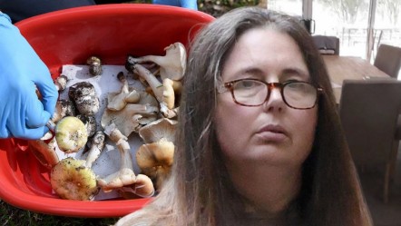 Bir ülkeyi sarsan olay! Zehirli mantarla akrabalarını zehirledi: Cezası belli oldu - Dünya