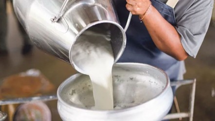 Çiğ sütün litre fiyatı ne kadar olacak? Çiğ süt tavsiye fiyatı açıklandı - Haberler