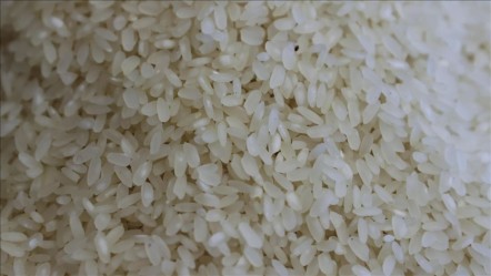 Endonezya Cumhurbaşkanı talimatı verdi! Filistin'e 10 bin ton pirinç hibe edilecek - Dünya