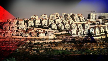 İşgal senaryosu sahnede! Filistinlilerin arsalarına el koydular - Dünya