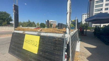 Tam 30 ton! Vatandaşlara ücretsiz dağıttı, dakikalar içinde kapış kapış gitti - Yaşam