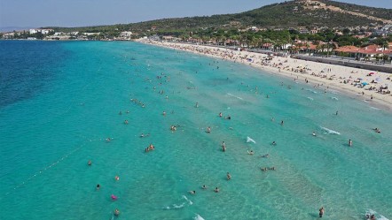 Akdeniz'de korkutan gelişme! Zehirli türler geliyor - Yaşam