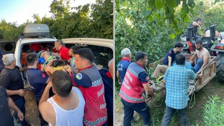 Her şey fındık toplarken oldu! Hayatının kabusunu yaşadı - Gündem