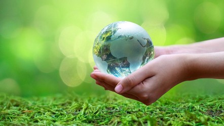 İklim Kanunu fırsat mı risk mi? En çok bu sektör etkilenecek - Ekonomi