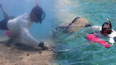 Temizlik devam ediyor! En popüler tatil beldesinin dibinden pislik çıktı - Yaşam