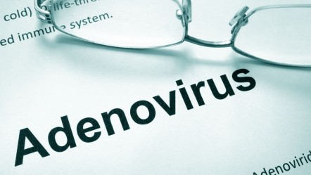 Adenovirüs nedir, nasıl bulaşır? Belirtilerine dikkat ediliyor - Haberler