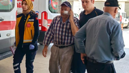 Dedesi yaşındaki adamı, hortumla serinletmedi diye hastanelik etti - Gündem