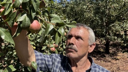 Emekli olduktan sonra başladı! Bu yıl 80 ton hasat bekliyor, paraya para demeyecek - Yaşam