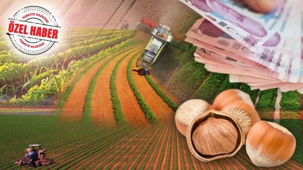 Giresun'da fındık İzmir'de rüzgâr... Yerli üreticilere büyük fırsat! Teşvikte yol haritası çıkarıldı - Ekonomi