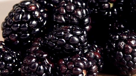 Kanserden koruyor, tümör hücrelerinin kökünü kazıyor… Şimdi tam zamanı! Bol bol yiyin - Sağlık