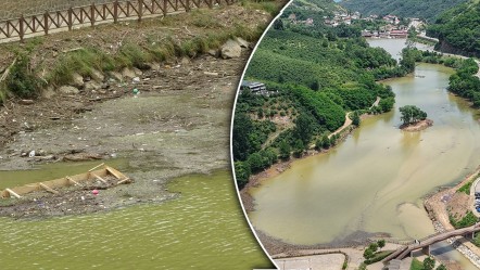 Tedbirler işe yaramadı, şehir tehlike altında! Ünlü göl bataklığa dönüşmek üzere... Uzman isim çözüm yolunu anlattı - Yaşam